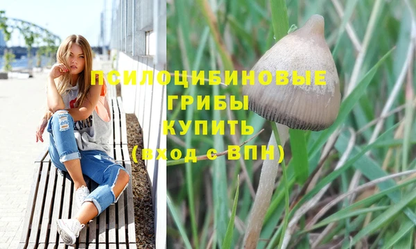 бутират Нея