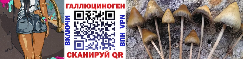 Псилоцибиновые грибы Psilocybine cubensis  ссылка на мегу зеркало  Сорочинск 