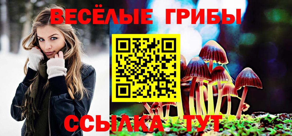 Сорочинск  Псилоцибиновые грибы ЛСД  купить наркотик  Вход с VPN 